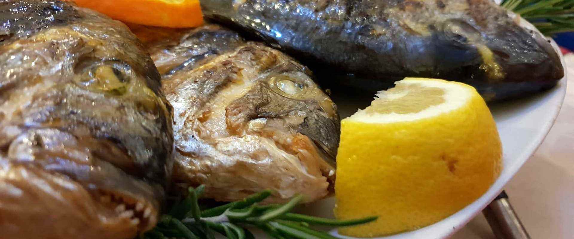 Griechisches Restaurant La Dolce Vita in Akropolis - Ilmenau3